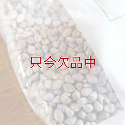 グリーンミレット