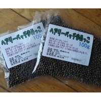 ヘアリーベッチまめっこ-家庭園芸・実験栽培用【100g】【送料無料】【時間指定不可】