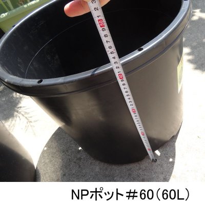 NPポット（60L）