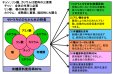 有機液体肥料-サトウキビのちから水６３３（N6-P3-K3）【1L】