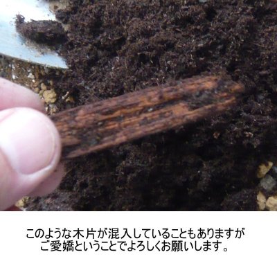 画像7: カナダ産ピートモス【無調整】【6cu.ft / 300L】【陸送地域のみ】【日祭日の配送および時間指定不可】