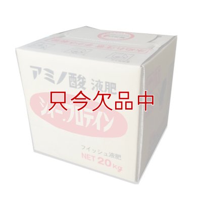6.0シィー・プロテイン