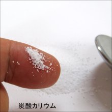 詳細写真1: [粉末] 炭酸カリウム【800g】実験・試作・農業・園芸・肥料原料用【いくつでも全国一律送料530円】