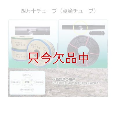 四万十チューブ(点滴灌水チューブ)20cmピッチ・厚み0.25mm・長さ1000m｜農業施設灌水用