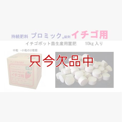 プロミック錠剤イチゴ用（N8-P8-K8）【10kg】