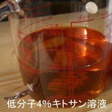 詳細写真1: 秀品率アップ【即効性】キトサン溶液「葉面散布専用（低分子4％）【1L】