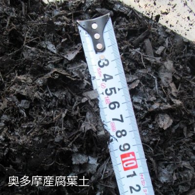 国産-腐葉土【45L】100％広葉樹の完熟腐葉土【東京-奥多摩産】