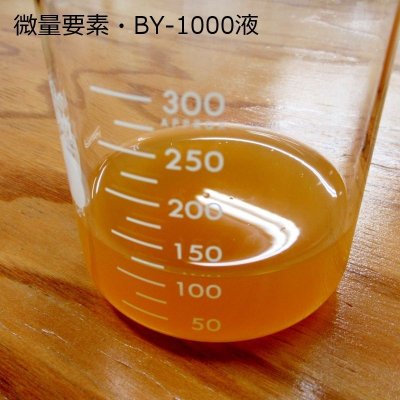 微量要素・BY-1000液【500ml】即効性のある微量要素補給液