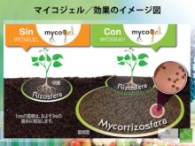 詳細写真1: マイコジェル（MYCOGEL）【125ml】高濃度菌根菌（ゲル状）【送料無料】