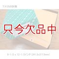 アメリカのクラフト封筒【Kraft Clasp Envelope】9・1/2 ｘ 12・1/2インチ（241.3x317.5mm）【100枚入り/箱】