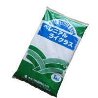 【芝・緑化用種子】ペレニアルライグラス【1kg】カネコ種苗製