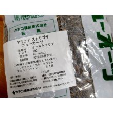 詳細写真1: 【牧草種子】アウェナストリゴサ｜ニューオーツ【早生種】飼料作物【1kg】カネコ種苗製