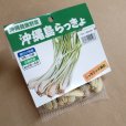 縄 島らっきょ【100g】沖縄健康野菜（栽培用種球