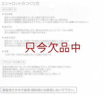 エシャロット（生食用ラッキョウ）