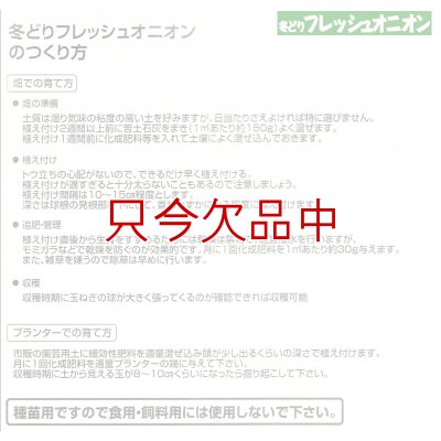 冬どりフレッシュオニオン