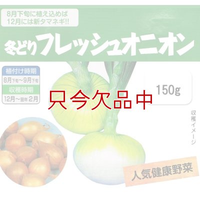 冬どりフレッシュオニオン