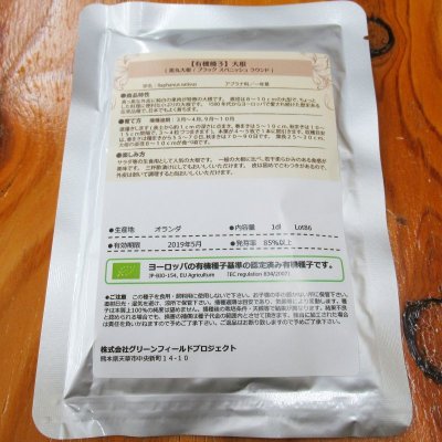 画像7: 【有機種子】黒丸大根 ブラックスパニッシュラウンド【大袋1dl】Round Radish : Black Spanish Round