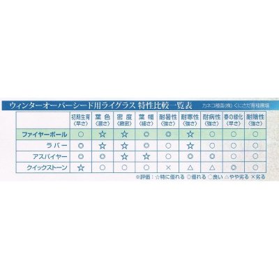 【新発売】【西洋芝種子】ペレニアルライグラス|ファイヤーボール【1kg入り】カネコ種苗製