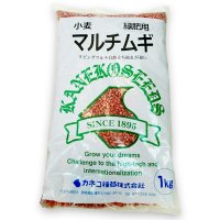 【緑肥用種子】マルチムギ｜リビングマルチ用 小麦｜遅枯れ品種｜イネ科【1kg】カネコ種苗製