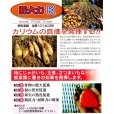 肥大力K　肥大促進カリウム葉面散布肥料【20kg】