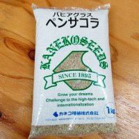 [温暖地推奨品]【牧草種子】バヒアグラス｜ペンサコラ【1kg】暖地型牧草｜緑肥｜カネコ種苗製