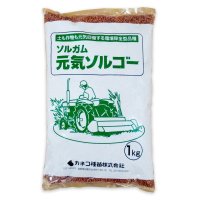 【飼料作物】元気ソルゴー【1kg】ソルガム類｜スーダン型ソルゴー｜早生種｜カネコ種苗製