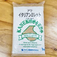 【牧草種子】イタリアンミレット｜アワ【1kg】カネコ種苗製