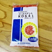 【新品種・牧草種子】ゴールドデント｜KD641[RM114] 3500粒/約500平方ｍ分｜茎葉・子実のバランスがよい品種｜カネコ種苗製