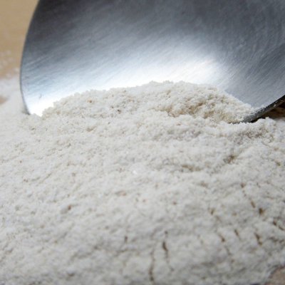 ライゾー（RHYZO）【1kg】発根伸長促進粉末液肥【送料無料】