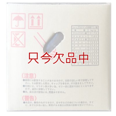 6.0フィッシュソリブル