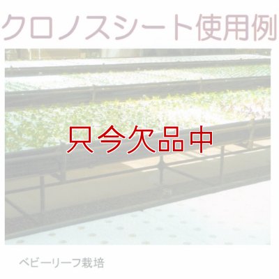 クロノスシート（ブラック）0.15mmｘ1000mmｘ100m｜EVA配合農業用特殊フィルム（水耕栽培用シート）
