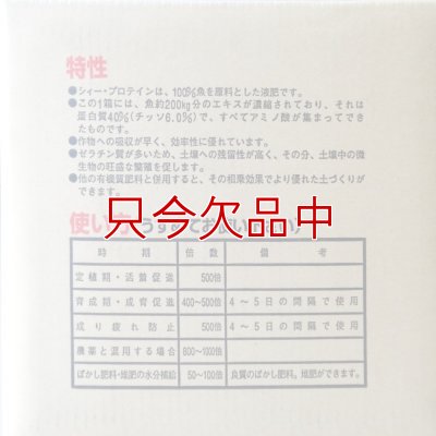 6.0フィッシュソリブル