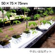 【穴なし】やさいはなポット 50ｘ75ｘ75mm 【576入り】