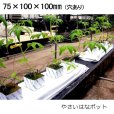 やさいはなポット｜75ｘ100ｘ100mm（穴あり）｜丸穴30φ、溝切り【216入り】日本ロックウール【陸送地域のみ】