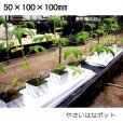 やさいはなポット｜50ｘ100ｘ100mm｜丸穴30φ、溝切り【324入り】日本ロックウール【陸送地域のみ】