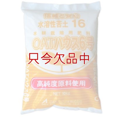 OATハウス6号
