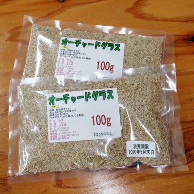 【牧草種子】オーチャードグラスのタネ【100g】嗜好性の高い人気の多年生牧草　【送料無料】【時間指定不可】