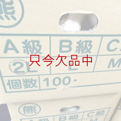 くまちゃんブランド種ニンニク