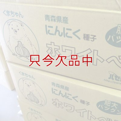 くまちゃんニンニク