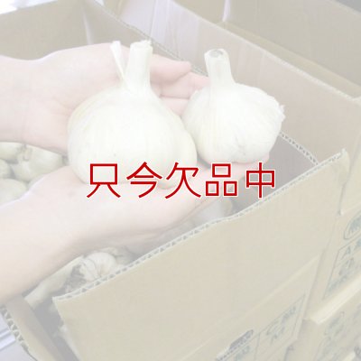くまちゃんブランド種ニンニク