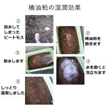 詳細写真2: 椿油かす【椿油粕】ペレット【20kg】【日祭日の配送・時間指定不可】