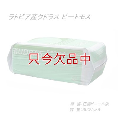 画像2: [品薄]欧州産 無調整ピートモス（粒度：0-10mm・300L）【日祭日の配送・時間指定不可・荷受け必要】【沖縄県・各県離島は追加運賃あり】