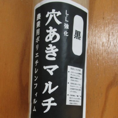 【ホールマルチ】葉物・根菜マルチ【4条用】(95cm×200m)穴の間隔15cm【9415】