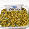 【肥効8-9ヶ月】オスモコートエグザクト（N15-P9-K11）スタンダード【25kg】