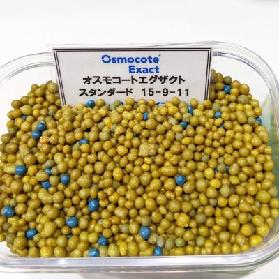 【肥効8-9ヶ月】オスモコートエグザクト(N15-P9-K11)スタンダード【25kg】