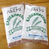 【牧草種子】ライ麦｜ハルミドリ【極早生種】【飼料作物用】【1kg】カネコ種苗製