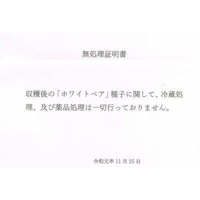 くまちゃんブランド種ニンニク無処理証明書