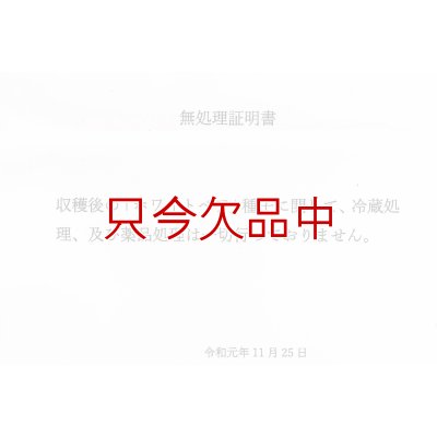 くまちゃんブランド種ニンニク無処理証明書