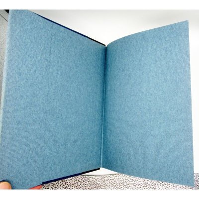 青一 和紙青色一銭切手 明治5年7月20日発行|工学博士 市田左右一著