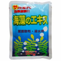 海藻のエキス12kg（ノルウェー産100gｘ120袋梱包）【送料無料】